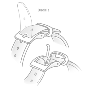 Buckle