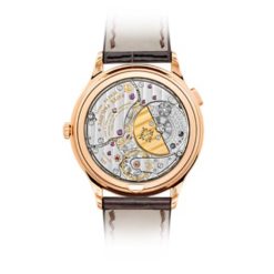 Patek Philippe Ladies Complications Watch