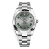 Rolex Datejust 126300 Slate Roman