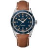 Omega Seamaster 300 Master Co-Axial Watch