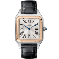 Cartier W2SA0011 Santos-dumont Watch