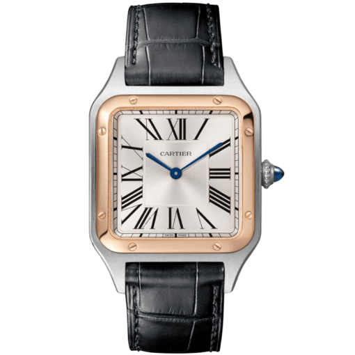 Cartier W2Sa0011 Santos-Dumont Watch