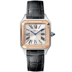 Cartier W2SA0012 Santos-dumont Watch