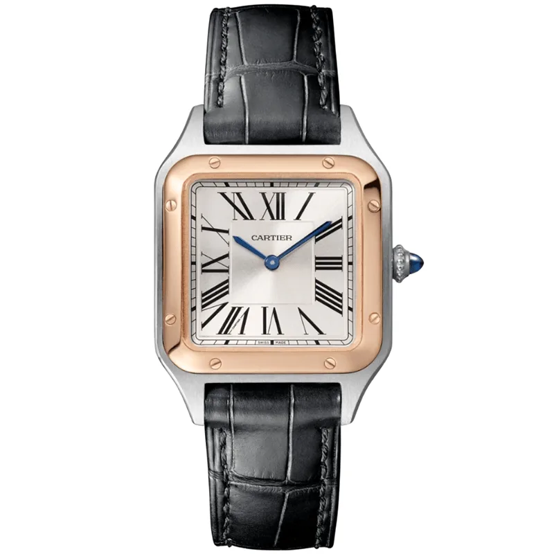 Cartier W2Sa0012 Santos-Dumont Watch