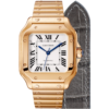 Santos De Cartier Watch Wgsa0018