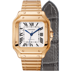 Santos De Cartier Watch WGSA0018