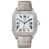 Cartier Wjsa0014 Santos Watch Medium Model Watch