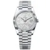 Rolex Day-Date 228236-0011 Meteorite Dial 40Mm Platinum Men'S Watch